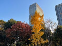 -新虹桥中心花园