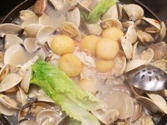 -拾下卜卜贝•海鲜火锅
