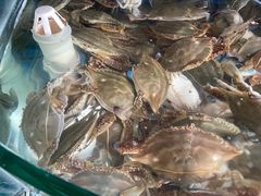 -蓝珊甄选海鲜自助·火锅大排档(近阿那亚店)