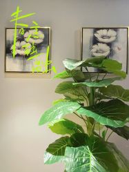 -花隐瑜伽·普拉提·红绳