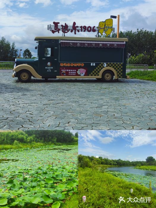 黑瞎子岛探秘野熊园图片