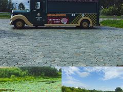 -黑瞎子岛探秘野熊园