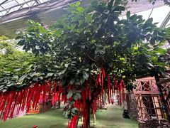 -呀路古热带植物园