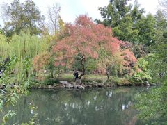 -0317火锅鸡·清真(正达店)