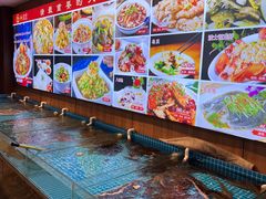 -渡海小渔村.老辈日照菜