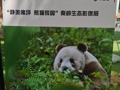 -西安电影制片厂