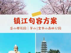 -天王浮山樱花园