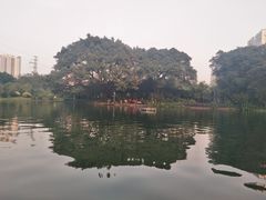 -晓港公园