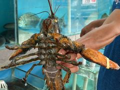 -考记泥焗鸡农庄·海鲜(北洛秘境店)