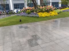 -上海交通大学（闵行校区）-李政道图书馆