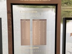 -良渚博物院
