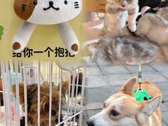 -开元商城(西旺店)