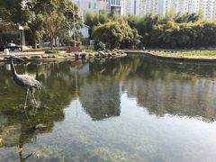 -苏州河梦清园环保主题公园