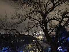 -飞凤山奥体公园