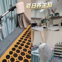 -苗塑堂减肥艾灸