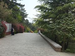 -崂山仰口游览区
