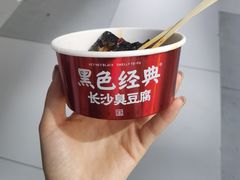 -黑色经典臭豆腐·湖南特产(坡子街店)