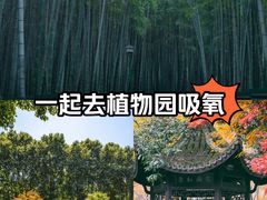 -杭州植物园
