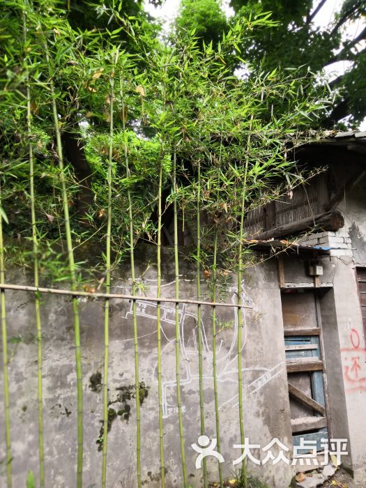 冻绿房-图片-重庆休闲娱乐-大众点评网