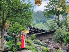 -三峡人家风景区