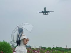 -空港花田景区