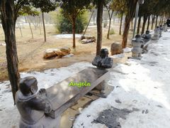 -嵩山少林文化旅游景区