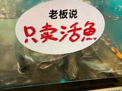 -鱼酷活鱼烤鱼(静安大融城店)