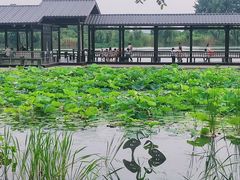 -渤公岛生态公园