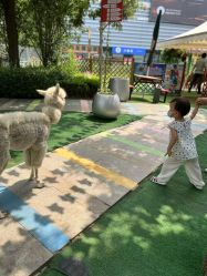 -萌宠亲子动物乐园(槐房万达店)