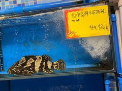 -蚝专家(北滘店)
