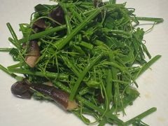 辣木苗拌鸡纵菌-永安鱼庄·镇江菜(东吴路店)