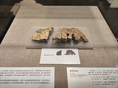 -北京大学赛克勒考古与艺术博物馆