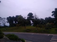 景点-铁山坪森林公园