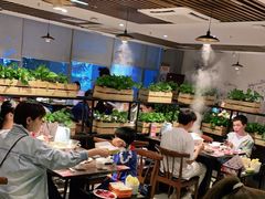 -八合里潮汕鲜牛肉火锅(深圳海岸城店)