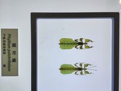 -上海昆虫博物馆