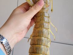 -凯华海鲜火锅·传承三十六年