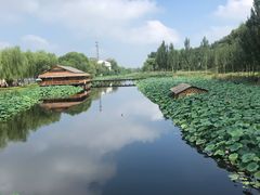 -白洋淀景区
