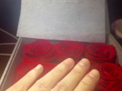 -ROSEONLY诺誓(广州K11店)