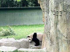 -上海野生动物园