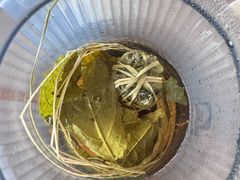 -蓝湾碧波·老字号·疍家非遗海上餐厅