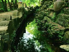 -美丽南方·老木棉匠园·团建烧烤·烤全羊