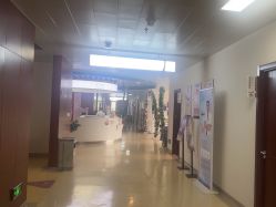 -北京家恩德仁医院-妇产科