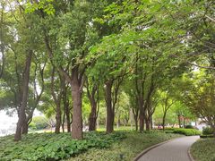 -北外滩滨江绿地