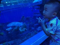 -成都浩海立方海洋公园