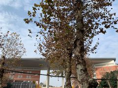 -四川大学(望江校区)