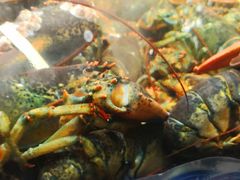 -盒马鲜生(189购物中心店)