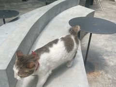 -东部华侨城