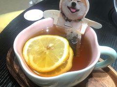 -逗柴咖啡屋·狗咖猫咖宠物桌游
