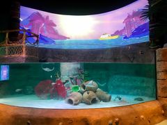 -沈阳海洋探索中心