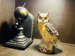 -雪灵魔法世界SHELLY’S TAROT(大良桂畔里店)